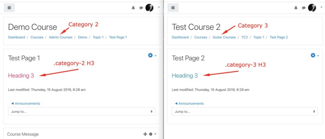 How to add custom CSS styles to categories in Moodle themes | Ricoshae
