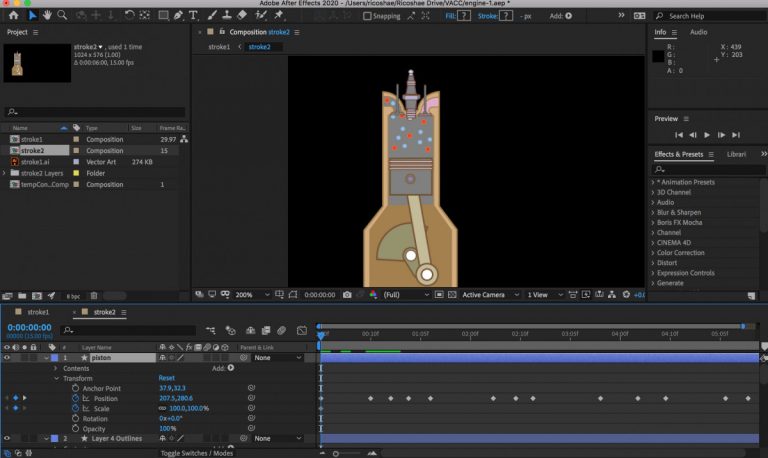 Ricoshae.com.au HTML animation